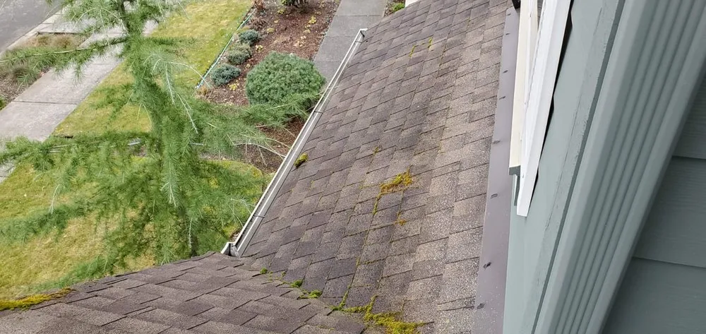 Slide of Cesars Roofing