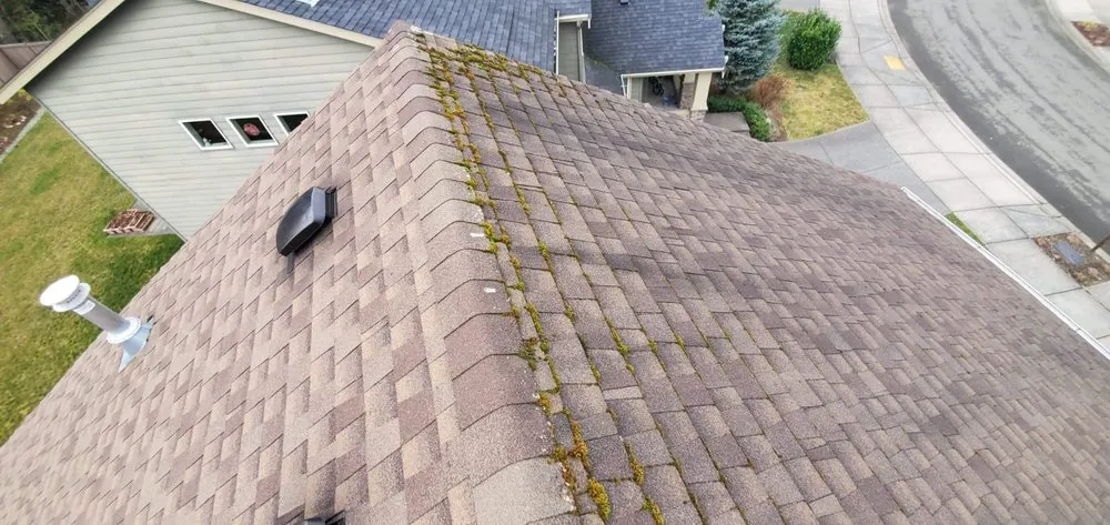 Slide of Cesars Roofing