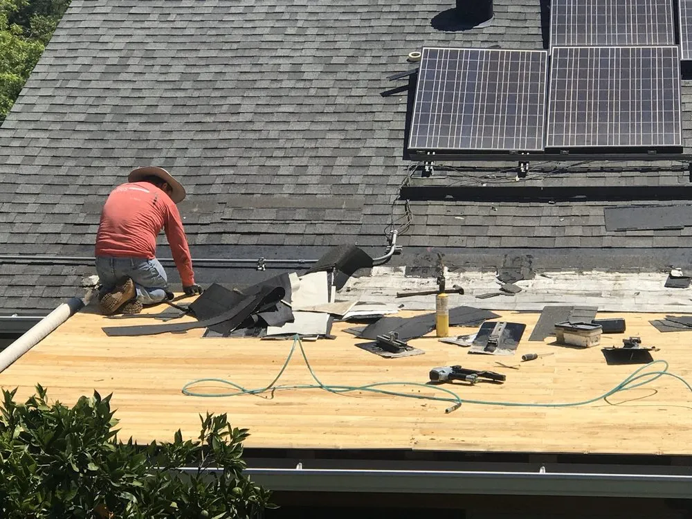 Slide of Ceus Roofing and Painting