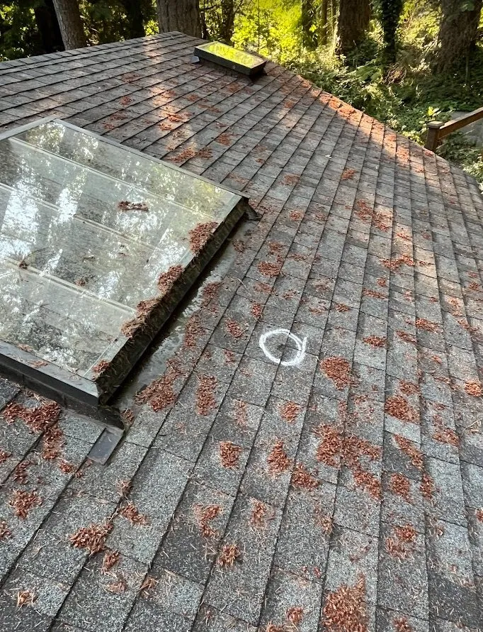 Slide of CF Roofing