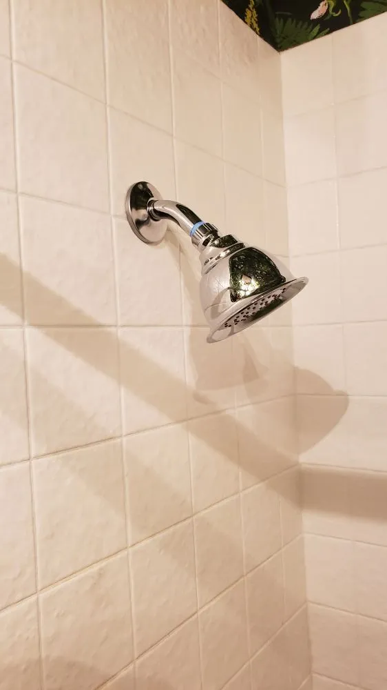 Slide of CFM Restoration