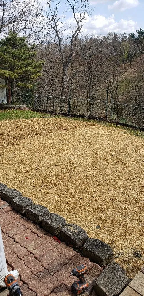 Slide of CFM Restoration