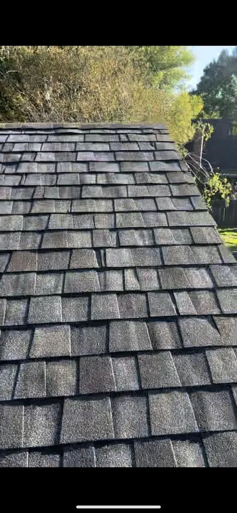 Slide of CGarcia Renovation