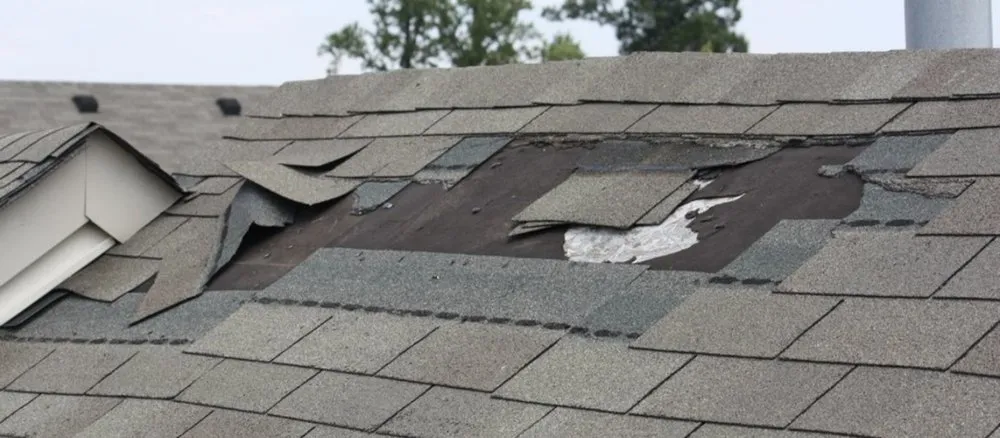 Slide of Chacon Brothers