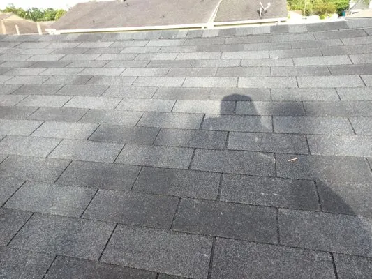 Chad Alphonso's Roofing and Repairs