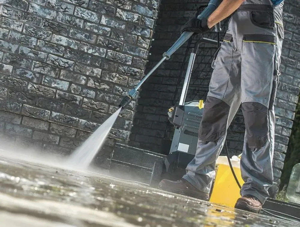 Slide of Chameleon Painting