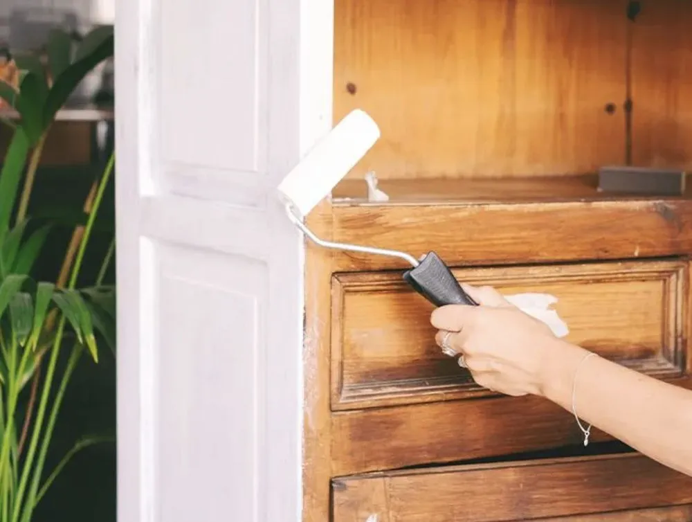 Slide of Chameleon Painting