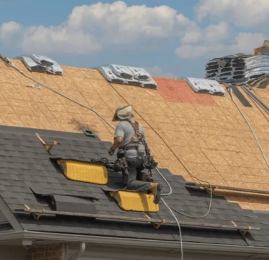 Slide of Chameleon Painting