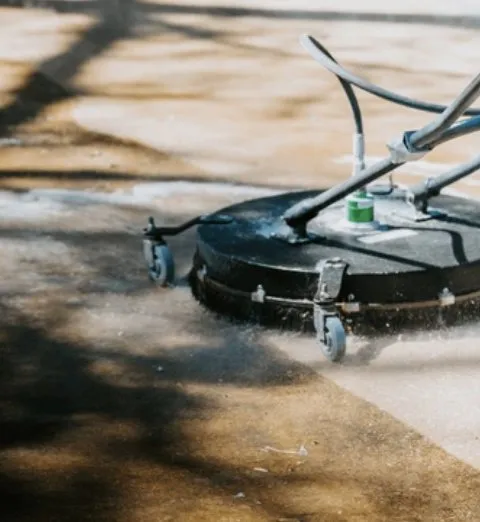 Slide of Chameleon Painting