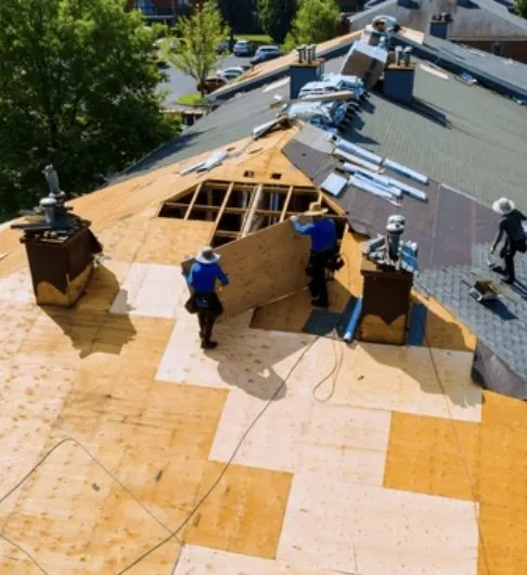 Slide of Chameleon Painting