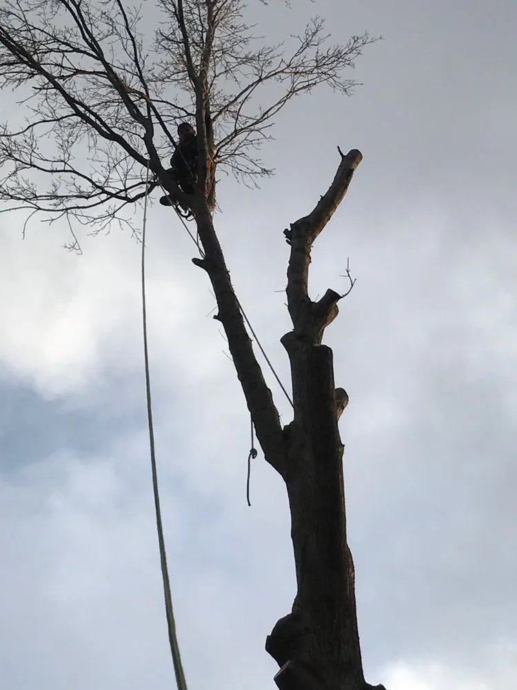 Slide of Champ Vision Roofing Services