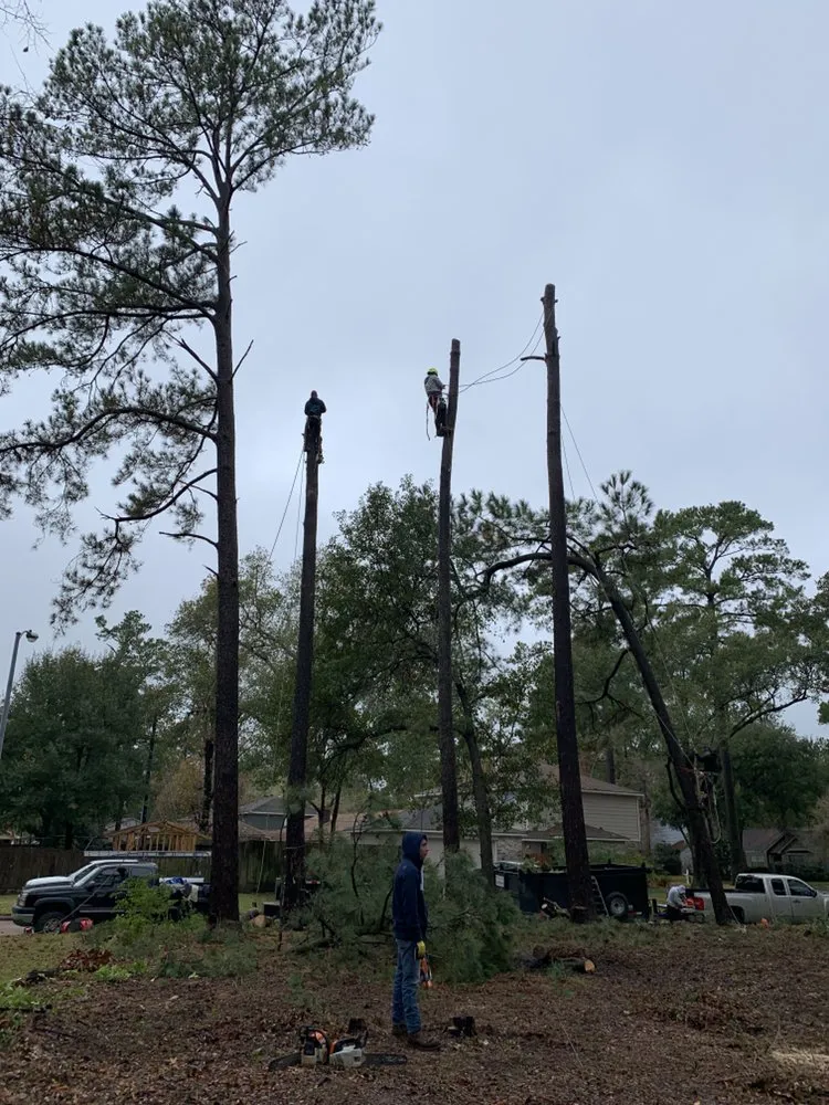 Slide of Champ Vision Roofing Services