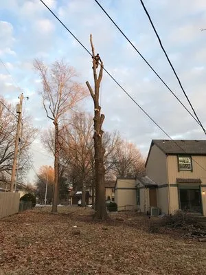 Champ Vision Roofing Services Logo