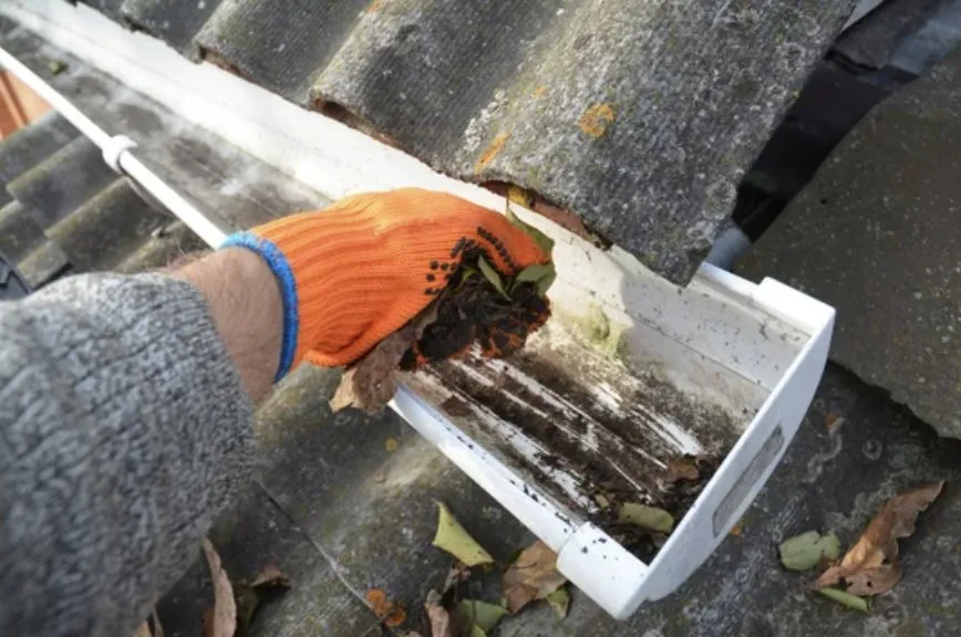 Slide of Champaign Gutter Cleaning & Maintenance Service