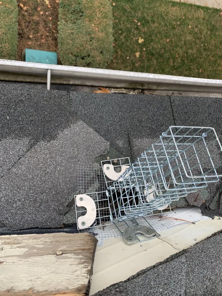 Slide of Champion Renovations