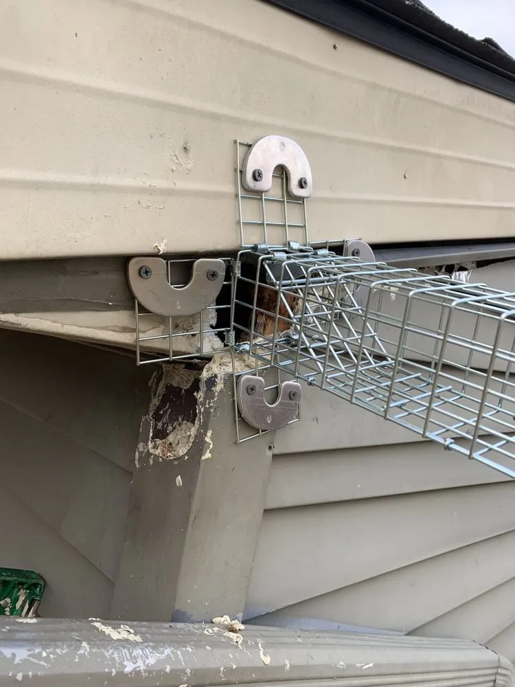 Slide of Champion Renovations