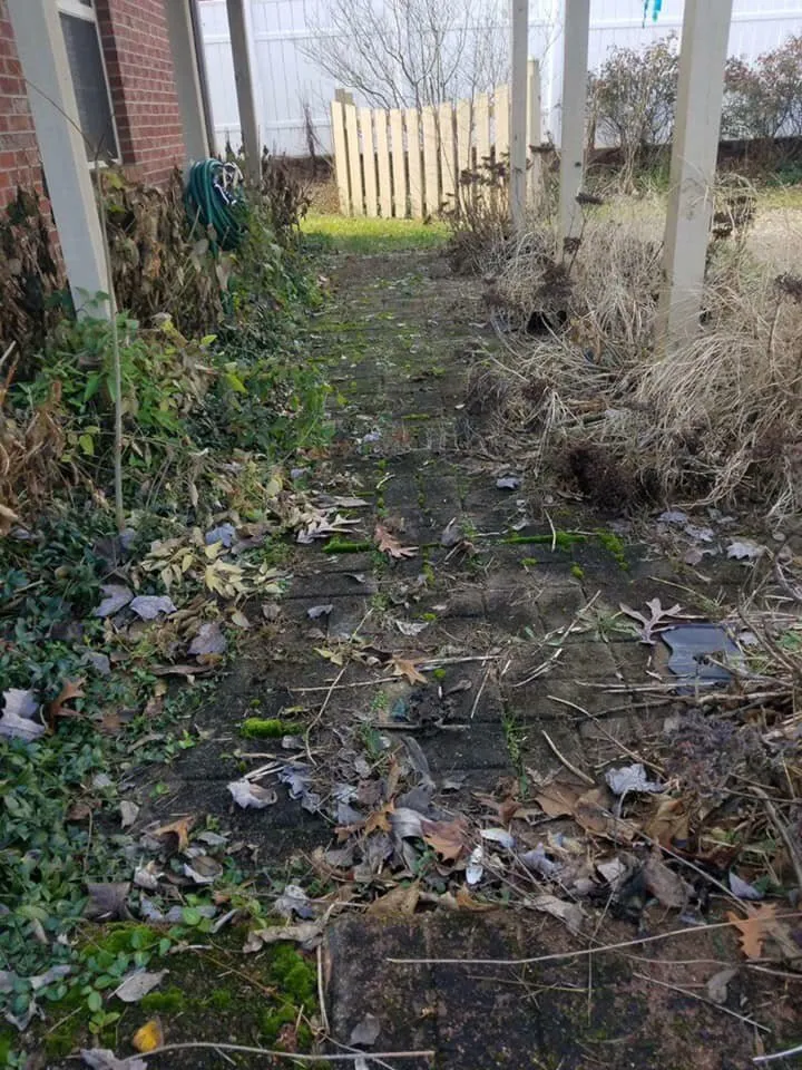 Slide of Champion Roof Cleaning and Pressure Washing