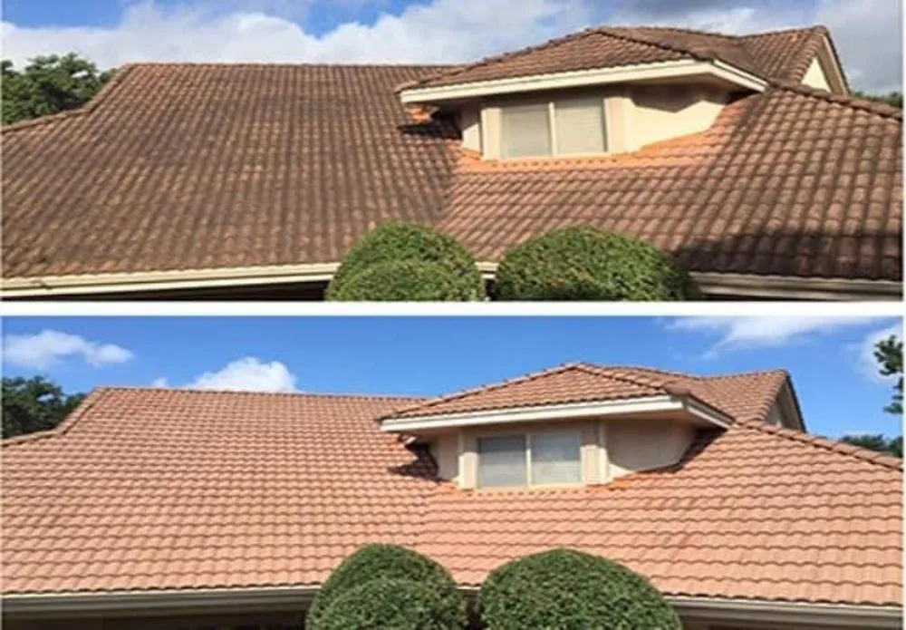 Slide of Champion Roof Cleaning and Pressure Washing