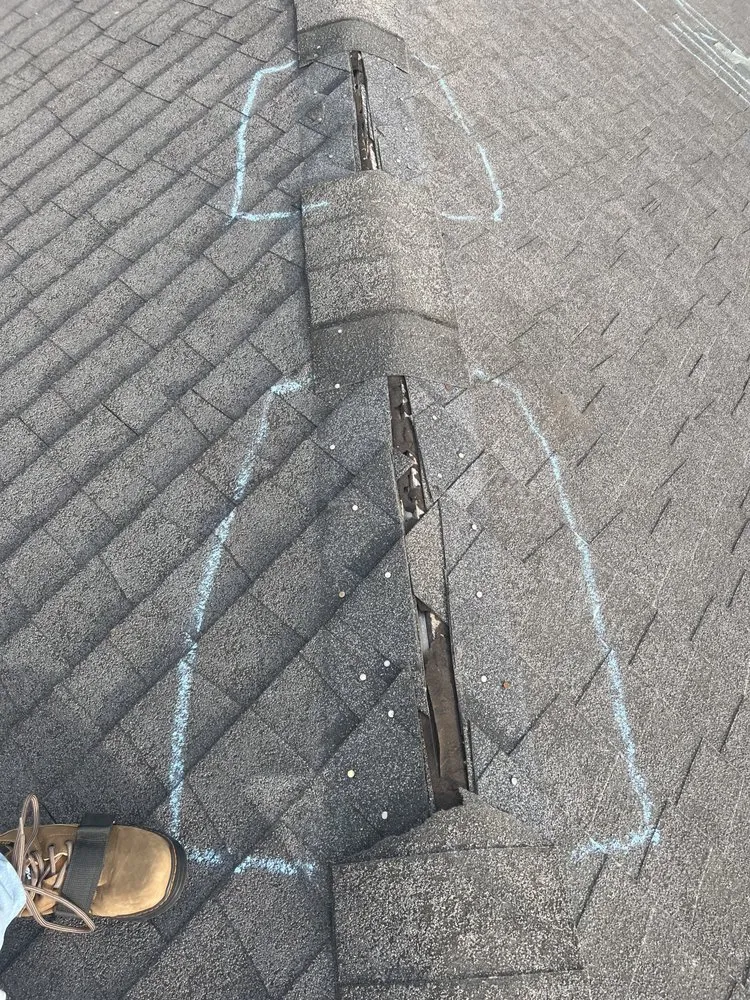 Slide of Chandler Swing