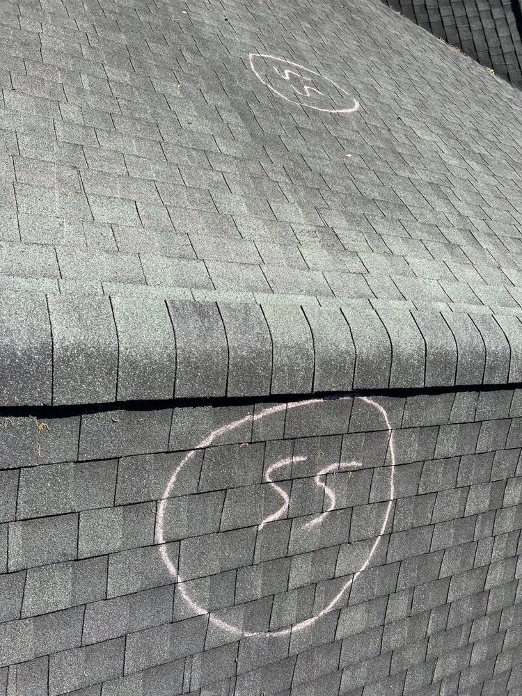 Slide of Chandler Swing