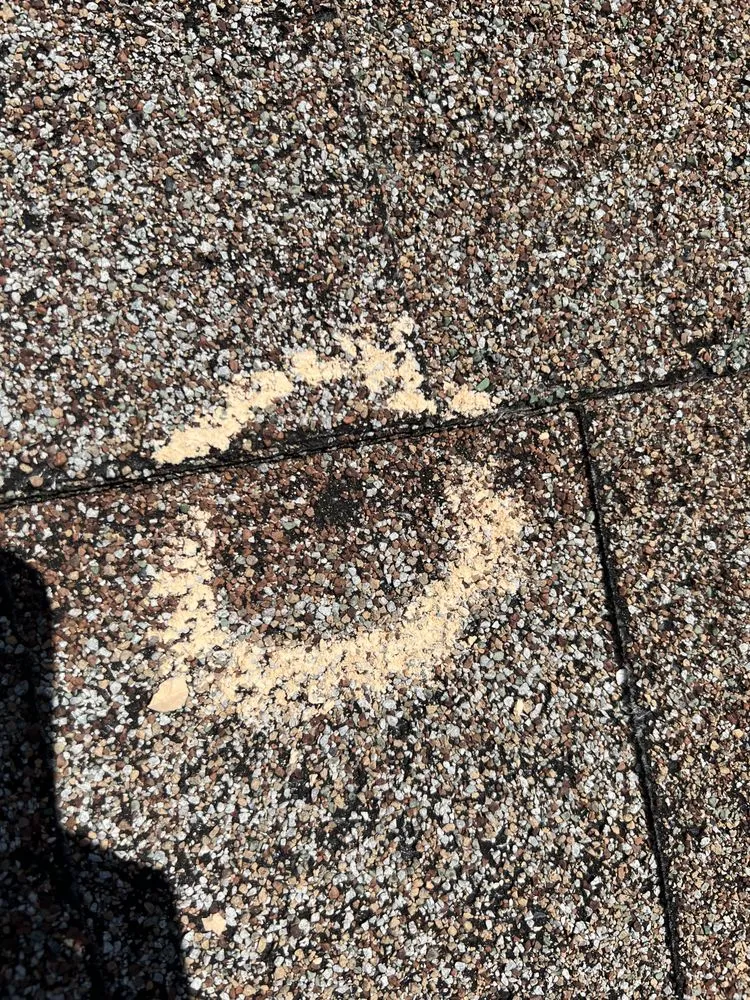 Slide of Chandler Swing