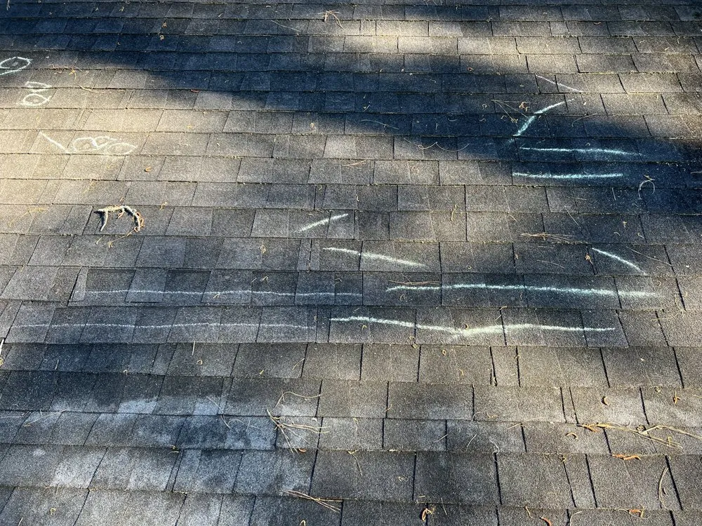 Slide of Chandler Swing