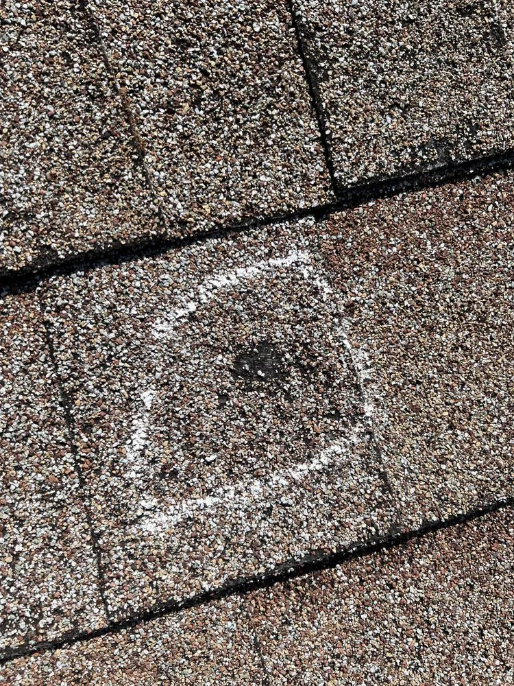 Slide of Chandler Swing