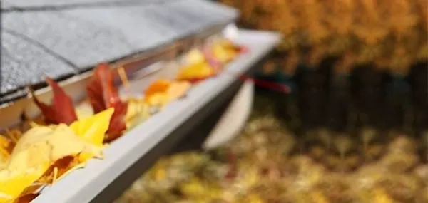 Chapple Bros Roofing Logo