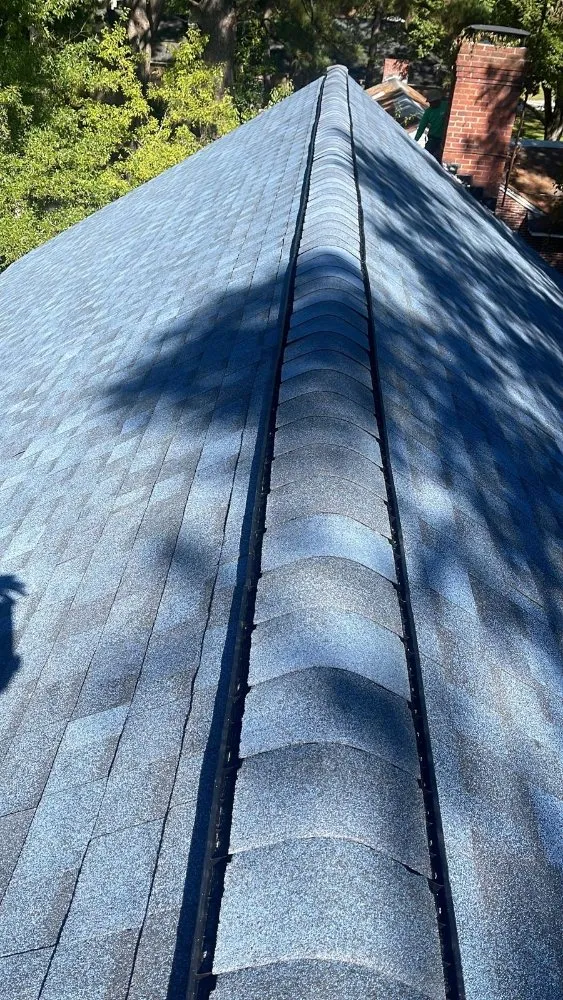 Slide of Chapu Roofing