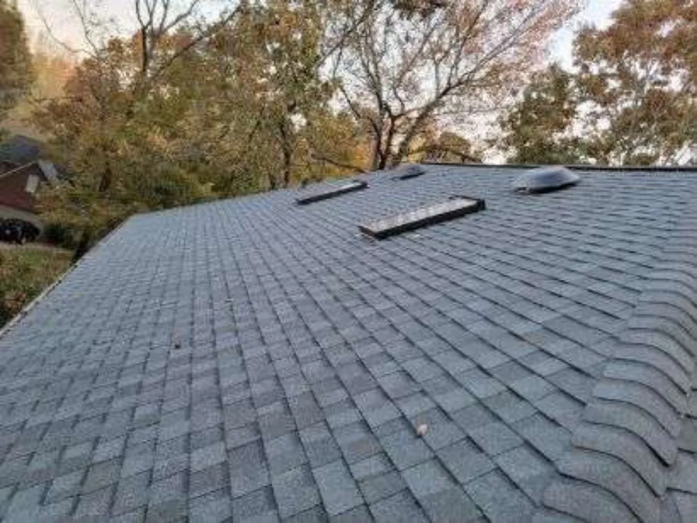 Slide of Chapu Roofing