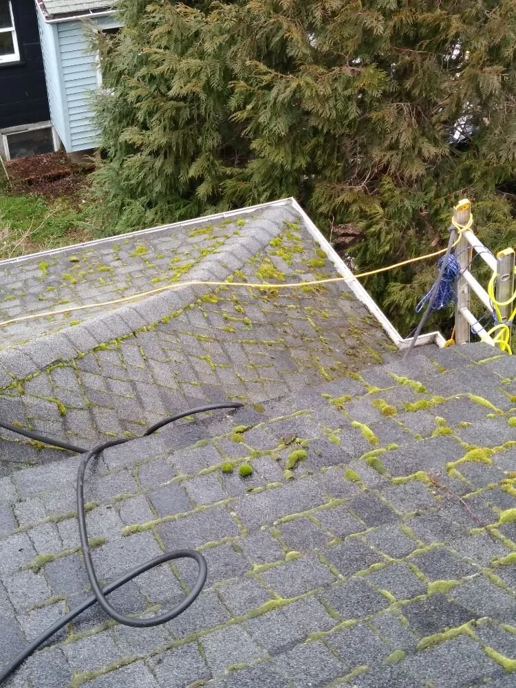 Slide of Charity's Roof and Gutter Cleaning