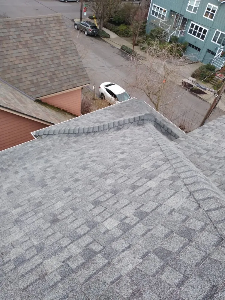 Slide of Charity's Roof and Gutter Cleaning