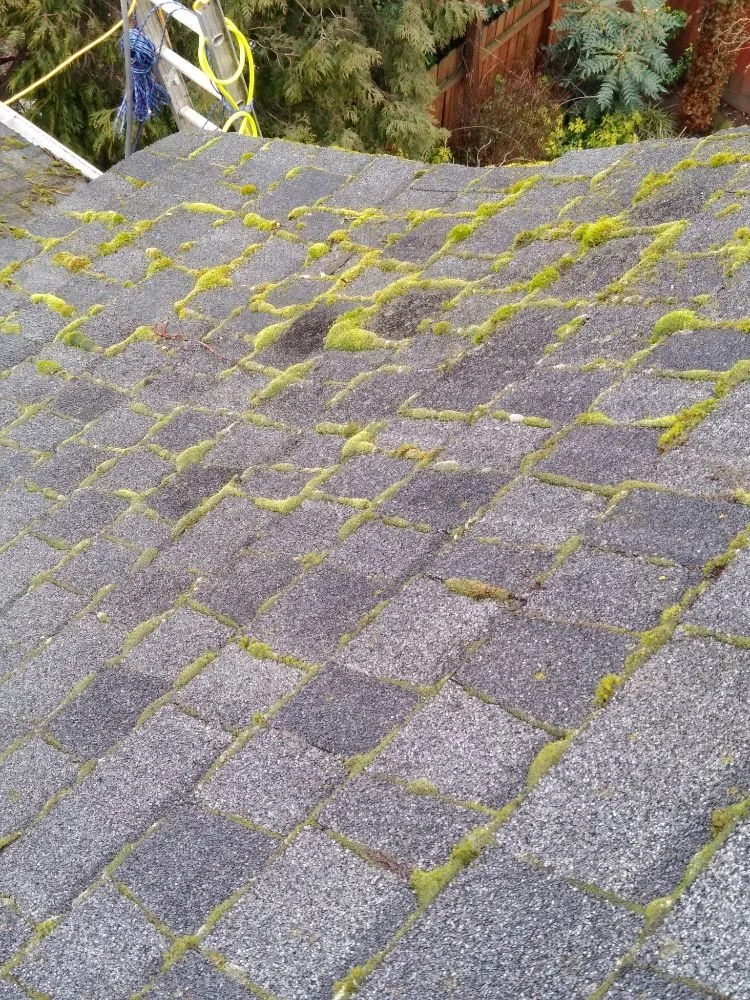 Slide of Charity's Roof and Gutter Cleaning