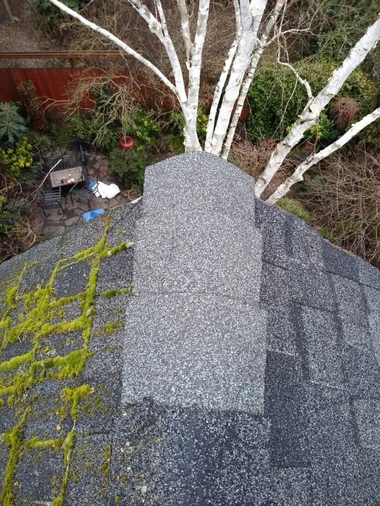 Slide of Charity's Roof and Gutter Cleaning