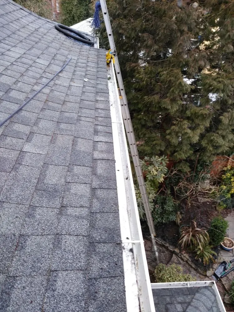 Slide of Charity's Roof and Gutter Cleaning