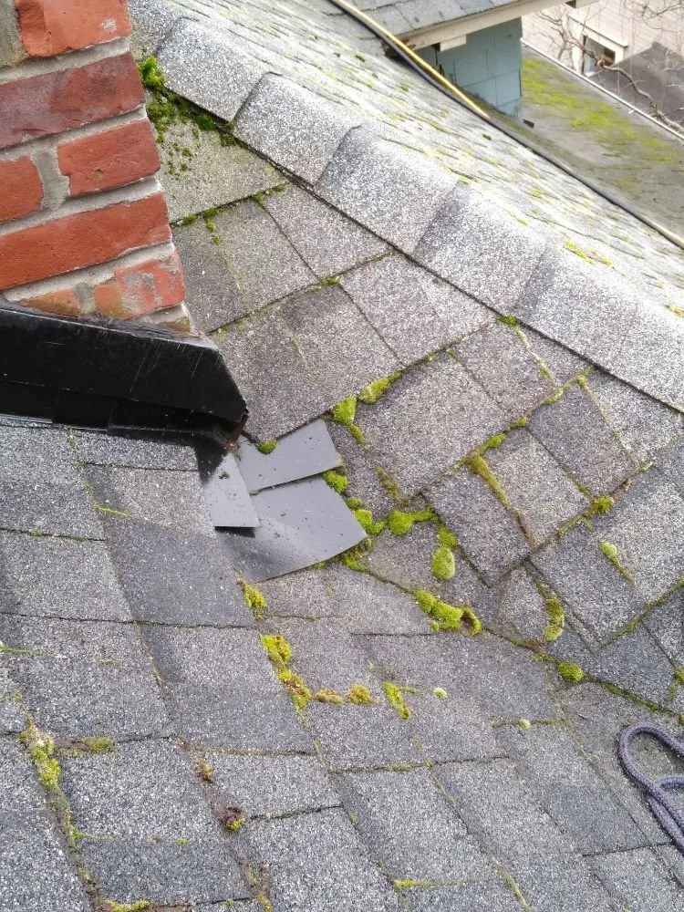 Slide of Charity's Roof and Gutter Cleaning