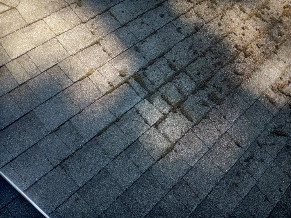 Slide of Charity's Roof and Gutter Cleaning