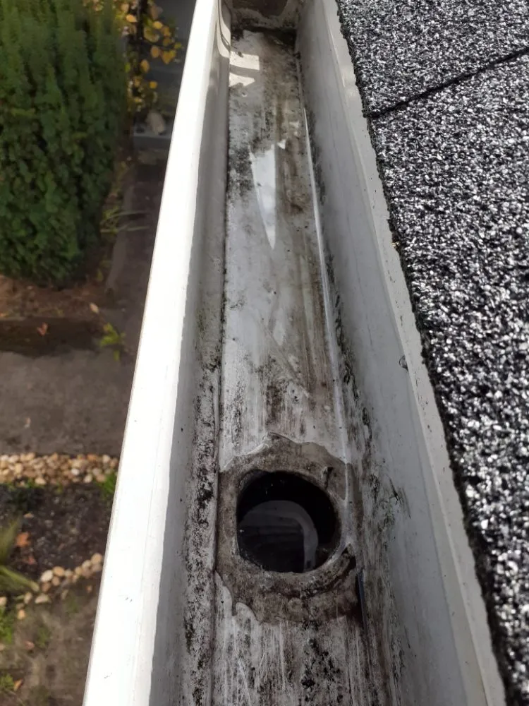 Slide of Charity's Roof and Gutter Cleaning