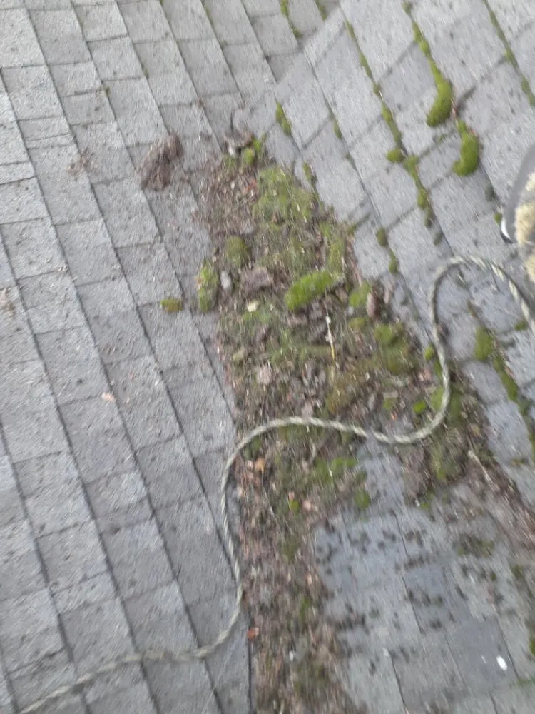 Slide of Charity's Roof and Gutter Cleaning