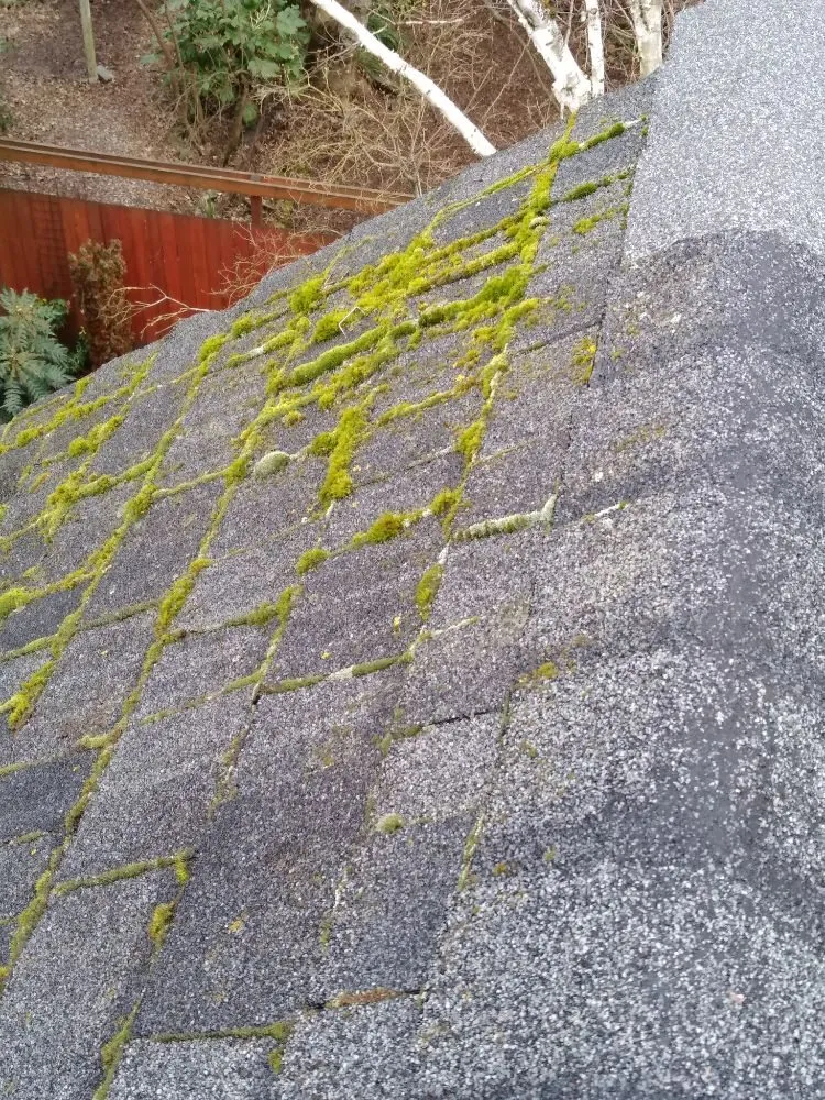 Slide of Charity's Roof and Gutter Cleaning