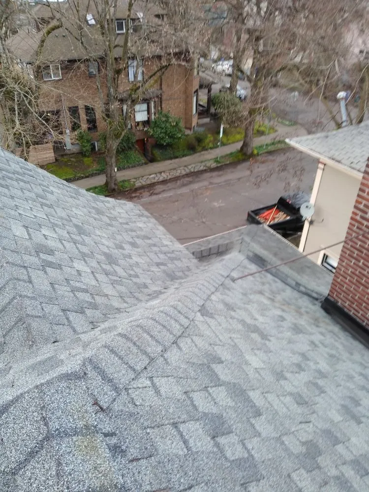 Slide of Charity's Roof and Gutter Cleaning