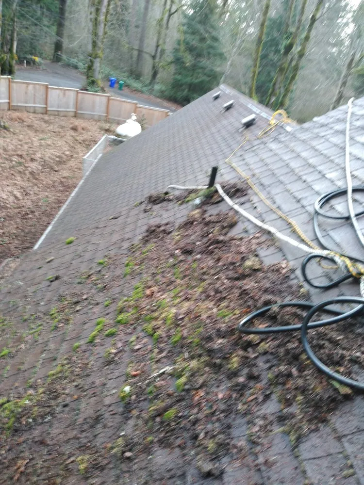 Slide of Charity's Roof and Gutter Cleaning