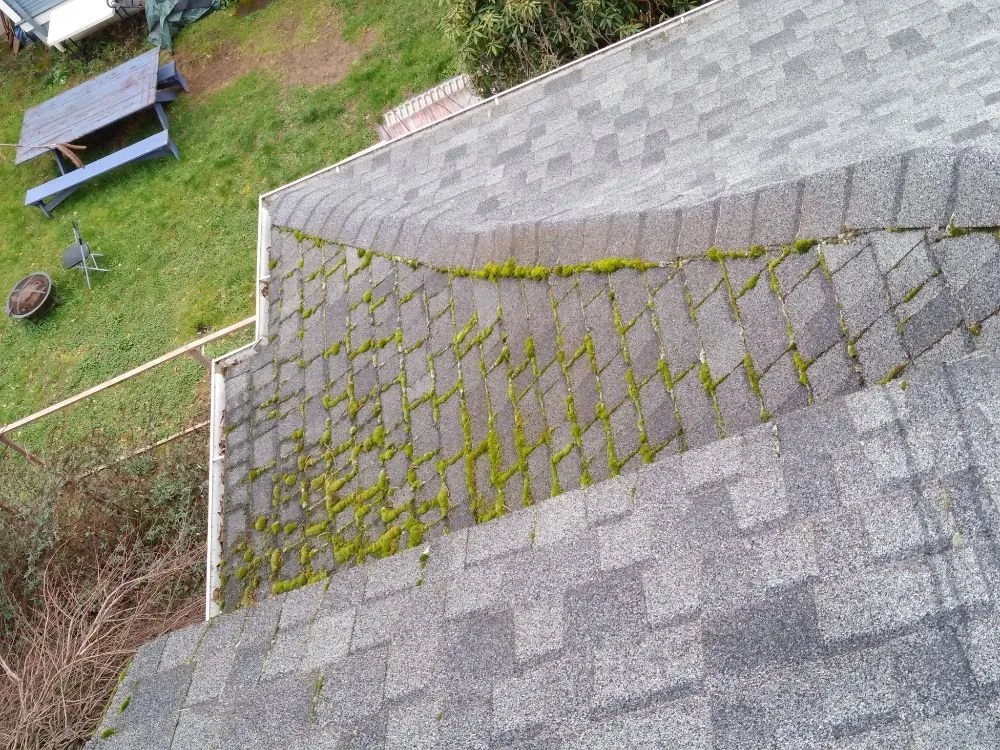 Slide of Charity's Roof and Gutter Cleaning