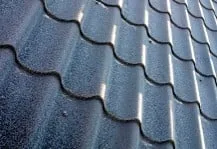 Slide of Charles E Hopkin