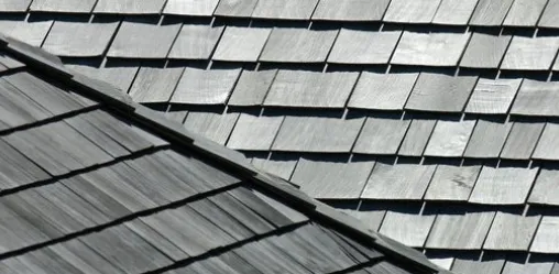 Slide of Charles L Sterner & Son