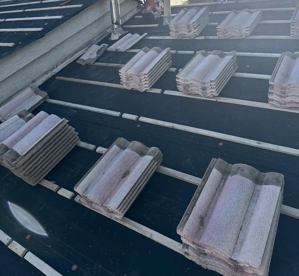 Slide of Charles Stewart