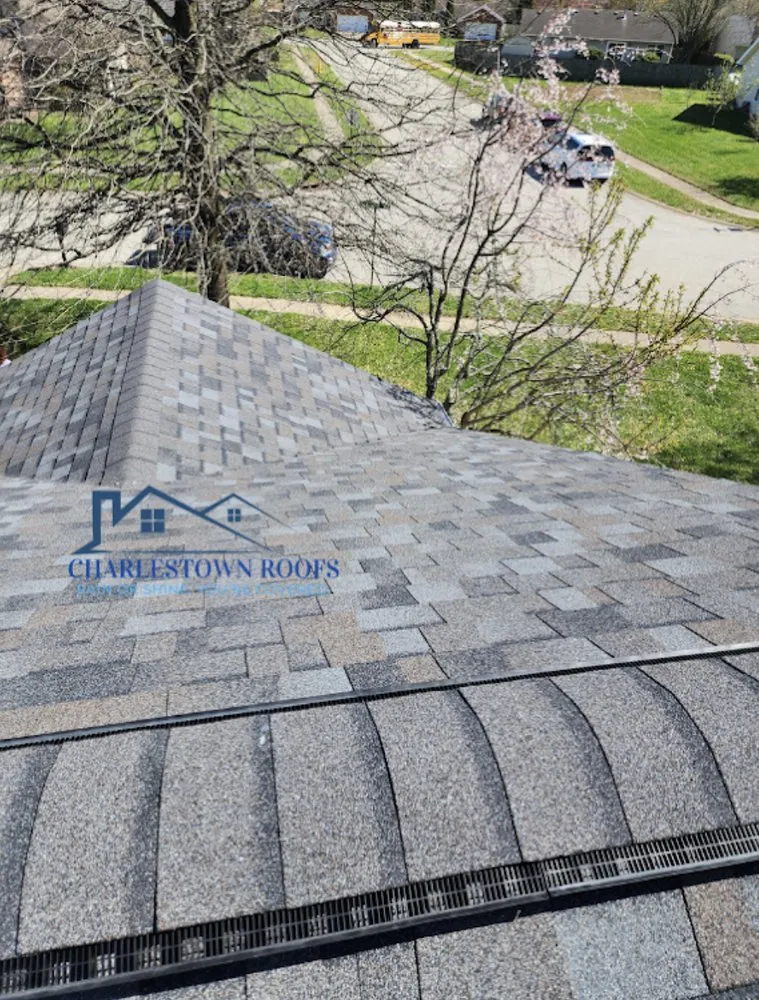 Slide of Charlestown Roofs