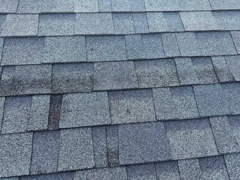 Slide of Charlestown Roofs