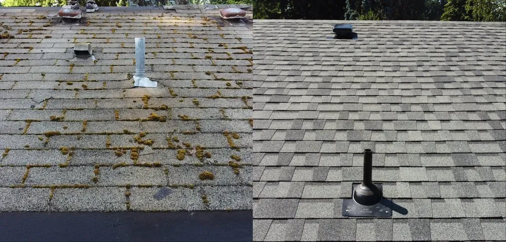 Slide of Charlie Roofing