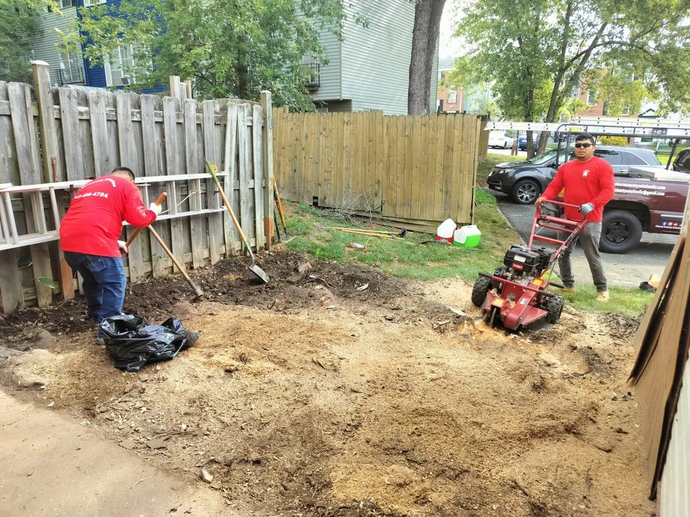 Slide of Charm County Solution